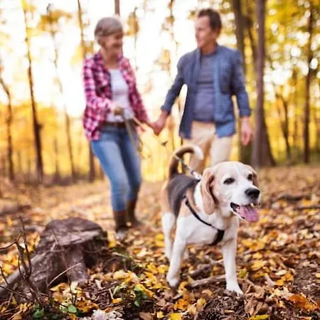 Norwood Vakantiehuis Kirkby Lonsdale