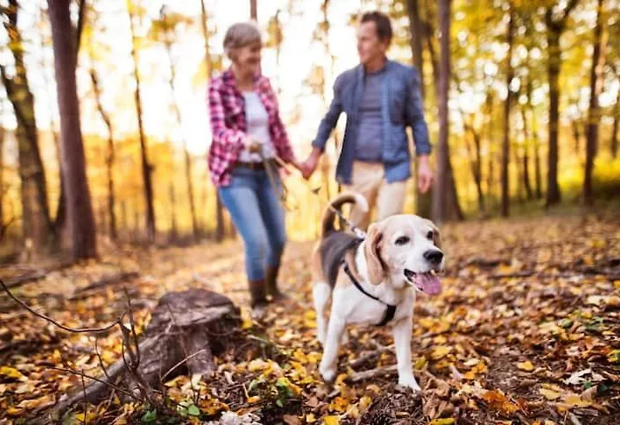 Norwood Holiday home Kirkby Lonsdale